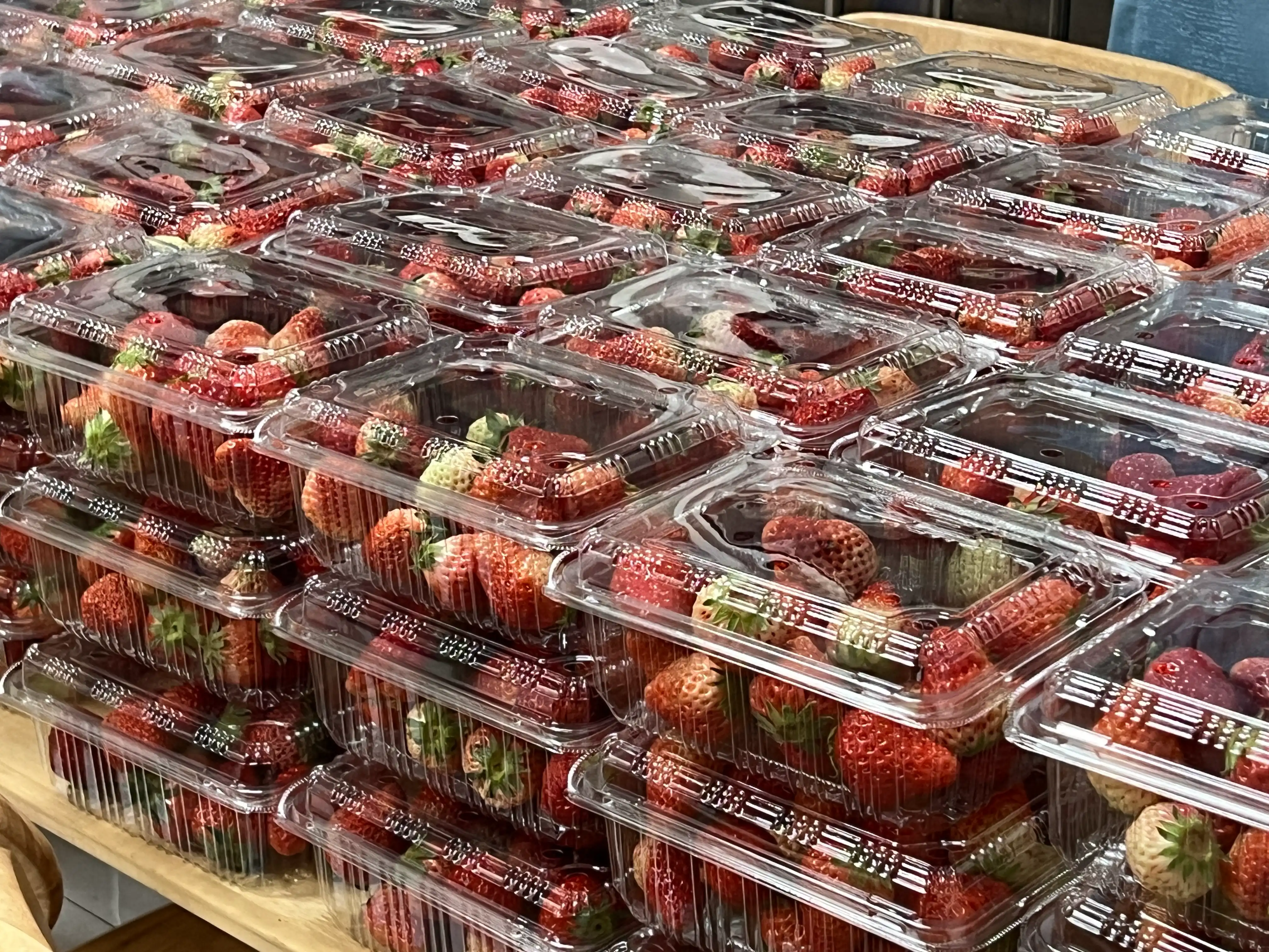 学生餐