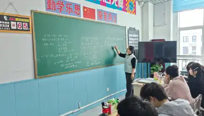 图片展示